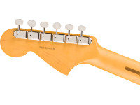 Fender American Professional Classic Jaguar RW 3TS Fender American Professional Classic Jaguar RW 3TS